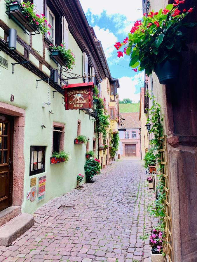 La Ruelle Alsacienne, Charme Alsacien Et Confort Moderne リクヴィール エクステリア 写真